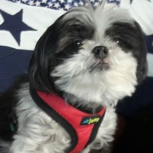 Meet your Posher, Thelma